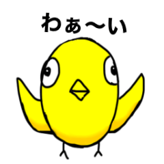 ヒヨコとニワトリ