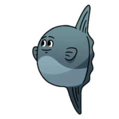 モラモラ
