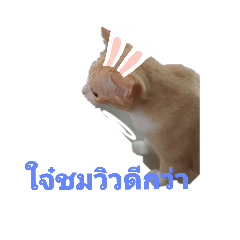 pasta_20210709210710