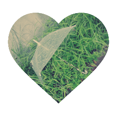 雨あがりの、懐かしい小道。