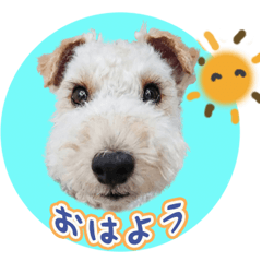 わくわくロブ君の日常