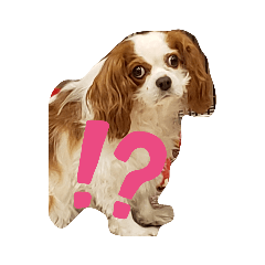 mintoのスタンプ