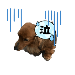 サラちゃん・レオンくん２