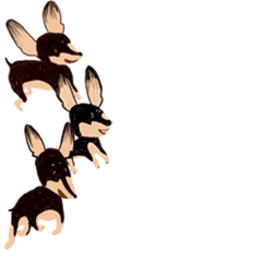 動くわんこファミリー