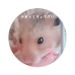 もも君とまろん君