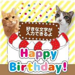 トラとハチワレ【メッセージスタンプ①】