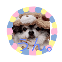 べーちゃんスタンプ①