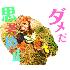 トイプードルのペン画ver.