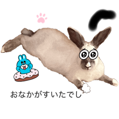 うさぎのももちゃんレッツゴー