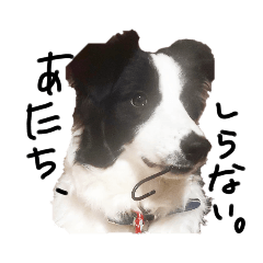 美々ちゃんgo go!