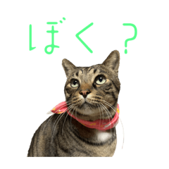 えいつばまるとラッキー♡