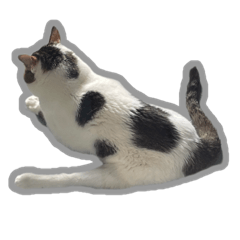 シンプル猫の丁寧語スタンプⅠ