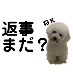 ももしろちゃんとろんぺろちゃん