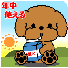 飛び出すトイプー「年中使える」