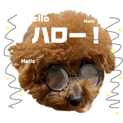 僕の名前はito②