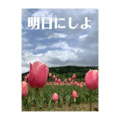 親しき仲の気遣い一言