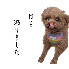 おんちゃんずのスタンプ