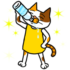 喋らない三毛猫さん