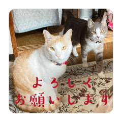 おくらとへちま(姉ver2)