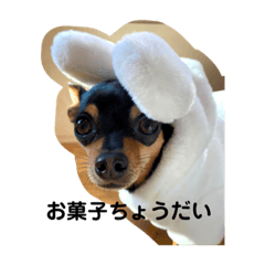 リズのスタンプ！