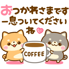 気持ち伝える♡豆柴日和