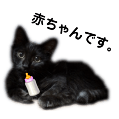 カルちゃんスタンプ1