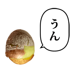 ぎんなん　銀杏　ふきだし