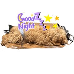 jjjなかまのスタンプ