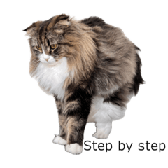 ティグ＆メイ㉗