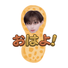 あきピーナッツの日常