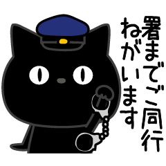 ぼく黒猫なんか危ないやつ