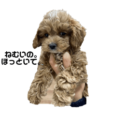 スワロのスタンプ　ver.2(幼少期)