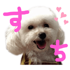 わたげちゃんすたんぷ1