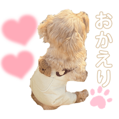 ラテまるくん⑦