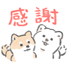 柴犬がいるから頑張れる