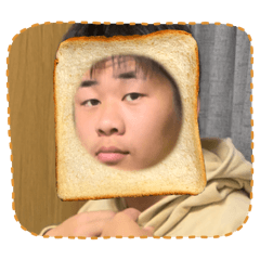 海豚ハイウェイ