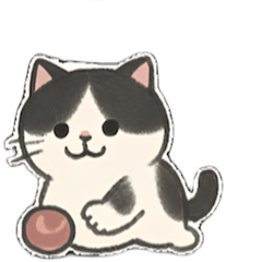 Daily Life of a Moody Kitty