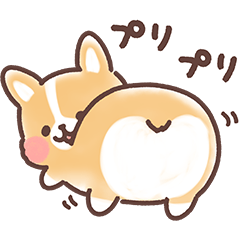 まるまるコーギー 3歳児