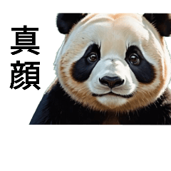 脱パンダ