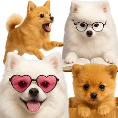 そのままポメ【BIGスタンプ】