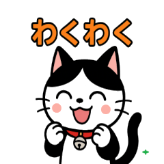 今日もハチワレ