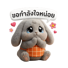 Tainoy little rabbit