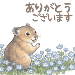 エゾナキウサギのピィ【ふんわり敬語】