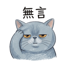 Bobo Blue Cat's Daily