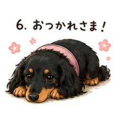 繁殖引退犬♡ルル♡②