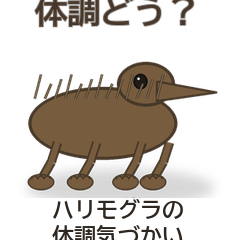 ハリモグラの体調気づかい
