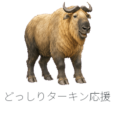 どっしりターキン応援