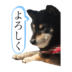 じろのスタンプ1号