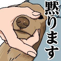 くりーむいろのダックスくん