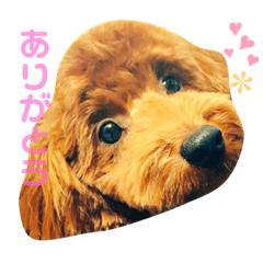 はるちゃんスタンプ〜②